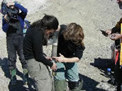 Darlene and Marianne extracting a sediment core.