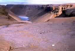 A polar bear taking at a stroll at the periphery of Haughton Crater.